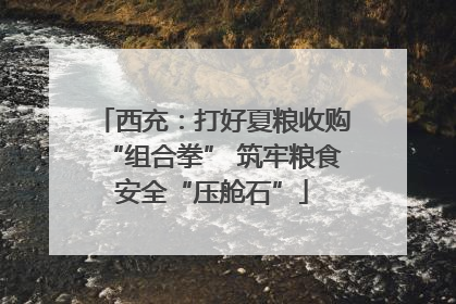 西充：打好夏粮收购“组合拳” 筑牢粮食安全“压舱石”