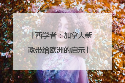 西学者：加拿大新政带给欧洲的启示
