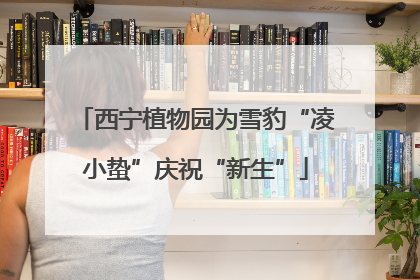 西宁植物园为雪豹“凌小蛰”庆祝“新生”