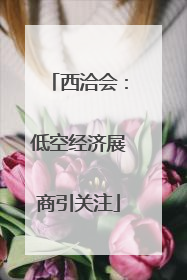 西洽会：低空经济展商引关注