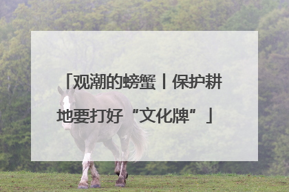 观潮的螃蟹丨保护耕地要打好“文化牌”