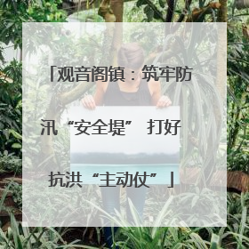 观音阁镇：筑牢防汛“安全堤” 打好抗洪“主动仗”