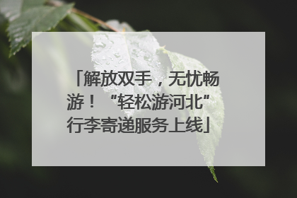 解放双手，无忧畅游！“轻松游河北”行李寄递服务上线
