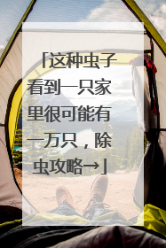 这种虫子看到一只家里很可能有一万只，除虫攻略→