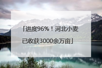 进度96%！河北小麦已收获3000余万亩