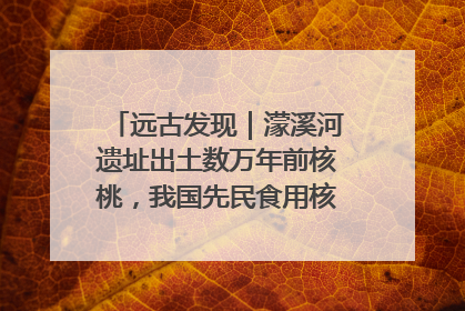 远古发现｜濛溪河遗址出土数万年前核桃，我国先民食用核桃历史大幅提前