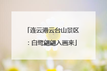 连云港云台山景区：白鹭翩翩入画来