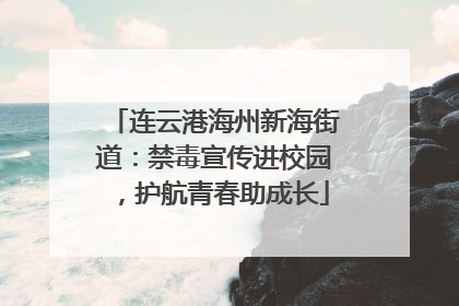 连云港海州新海街道：禁毒宣传进校园，护航青春助成长