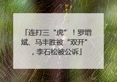 连打三“虎”！罗增斌、马丰胜被“双开”，李石松被公诉
