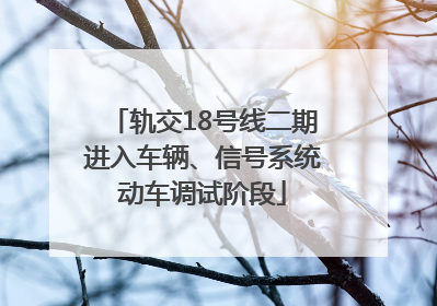 轨交18号线二期进入车辆、信号系统动车调试阶段
