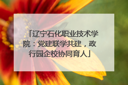 辽宁石化职业技术学院：党建联学共建，政行园企校协同育人
