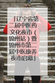 辽宁省第二届中医药文化夜市（锦州站）暨锦州市第二届中医康养夜市启幕