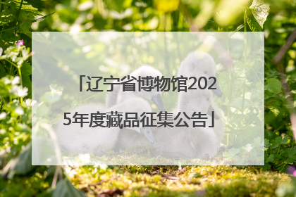 辽宁省博物馆2025年度藏品征集公告