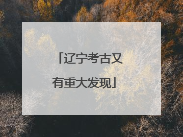 辽宁考古又有重大发现