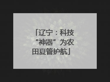 辽宁：科技“神器”为农田夏管护航