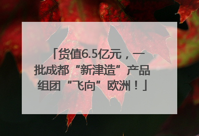 货值6.5亿元，一批成都“新津造”产品组团“飞向”欧洲！