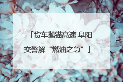 货车抛锚高速 阜阳交警解“燃油之急”