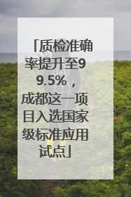 质检准确率提升至99.5%，成都这一项目入选国家级标准应用试点