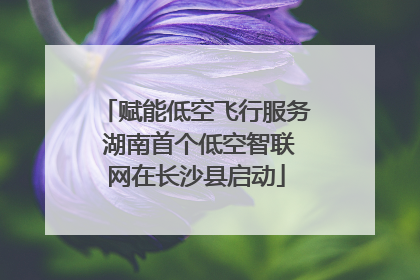 赋能低空飞行服务 湖南首个低空智联网在长沙县启动
