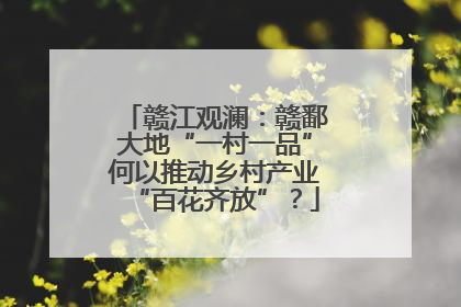 赣江观澜：赣鄱大地“一村一品”何以推动乡村产业“百花齐放”？