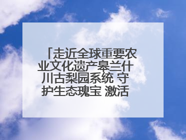走近全球重要农业文化遗产皋兰什川古梨园系统 守护生态瑰宝 激活发展动能
