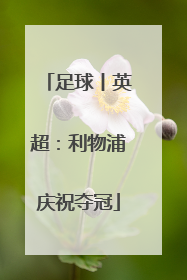 足球丨英超：利物浦庆祝夺冠