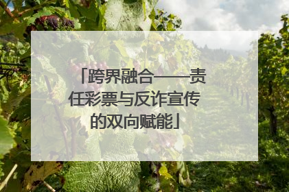跨界融合——责任彩票与反诈宣传的双向赋能