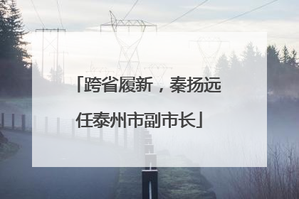 跨省履新，秦扬远任泰州市副市长