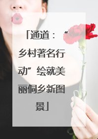 通道：“乡村著名行动”绘就美丽侗乡新图景