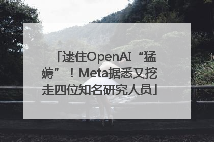 逮住OpenAI“猛薅”！Meta据悉又挖走四位知名研究人员