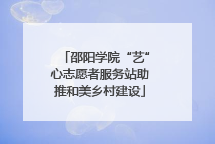 邵阳学院“艺”心志愿者服务站助推和美乡村建设