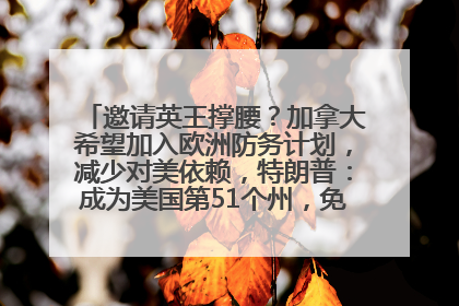 邀请英王撑腰？加拿大希望加入欧洲防务计划，减少对美依赖，特朗普：成为美国第51个州，免费用“金穹”