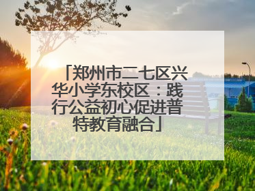 郑州市二七区兴华小学东校区：践行公益初心促进普特教育融合
