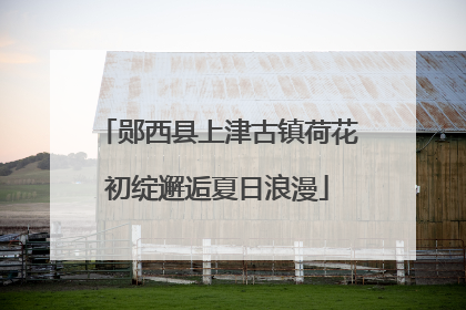 郧西县上津古镇荷花初绽邂逅夏日浪漫