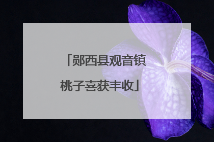 郧西县观音镇桃子喜获丰收
