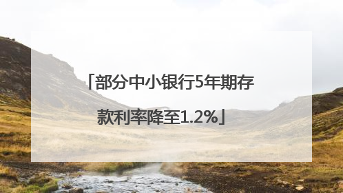 部分中小银行5年期存款利率降至1.2%