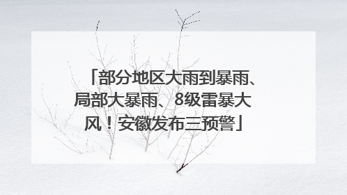 部分地区大雨到暴雨、局部大暴雨、8级雷暴大风！安徽发布三预警