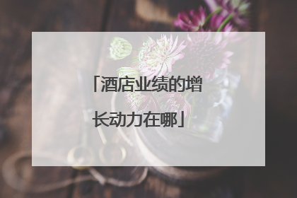 酒店业绩的增长动力在哪
