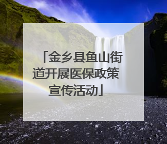 金乡县鱼山街道开展医保政策宣传活动