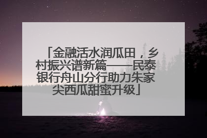 金融活水润瓜田，乡村振兴谱新篇——民泰银行舟山分行助力朱家尖西瓜甜蜜升级