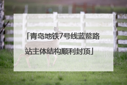 青岛地铁7号线蓝鳌路站主体结构顺利封顶