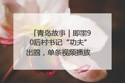 青岛故事｜即墨90后村书记“功夫”出圈，单条视频播放量过600万
