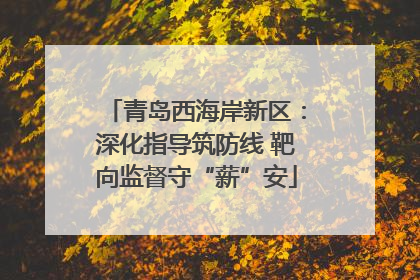 青岛西海岸新区：深化指导筑防线 靶向监督守“薪”安