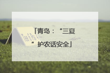 青岛：“三夏”护农话安全