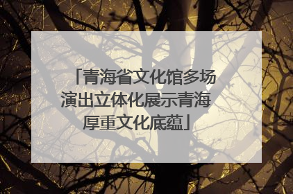 青海省文化馆多场演出立体化展示青海厚重文化底蕴