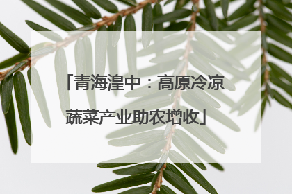 青海湟中：高原冷凉蔬菜产业助农增收