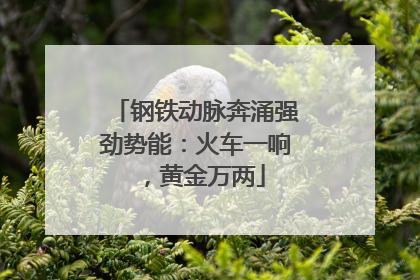 钢铁动脉奔涌强劲势能：火车一响，黄金万两