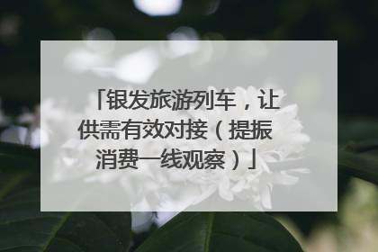 银发旅游列车，让供需有效对接（提振消费一线观察）