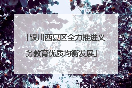 银川西夏区全力推进义务教育优质均衡发展