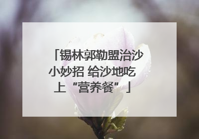锡林郭勒盟治沙小妙招 给沙地吃上“营养餐”